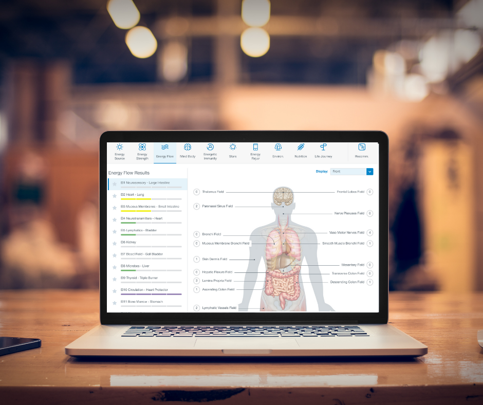 Bioenergetic Wellness Scan
